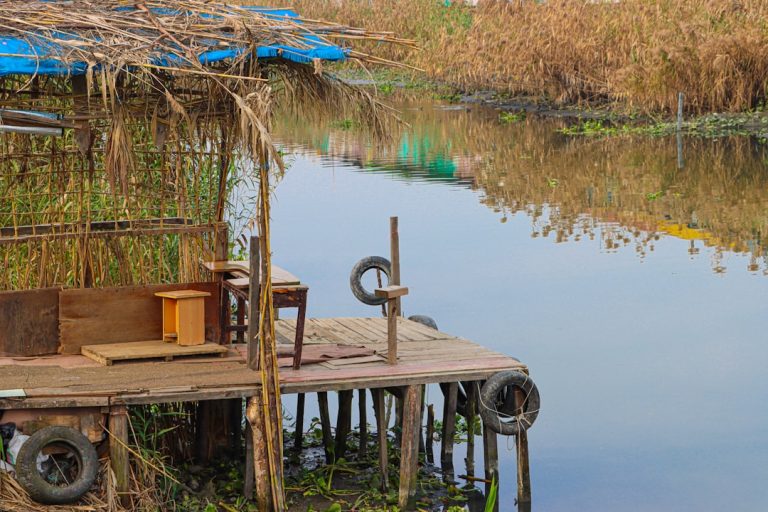 Travel Green: Sustainable Practices for the Conscious Explorer